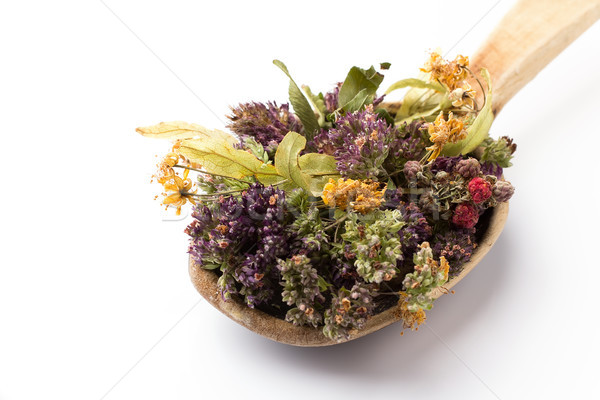Herbal tea. Stock photo © gitusik