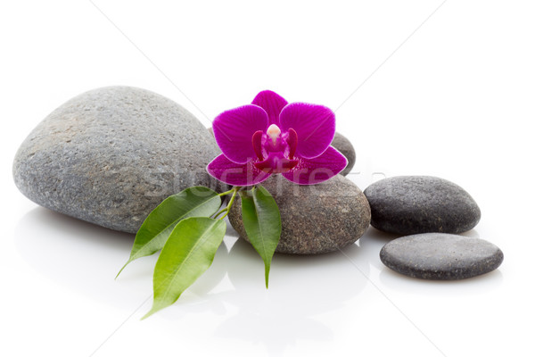 Foto stock: Spa · piedras · orquídeas · aislado · blanco · resumen