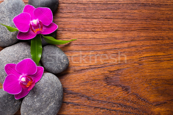 орхидеи цветок Spa камней аннотация Сток-фото © gitusik
