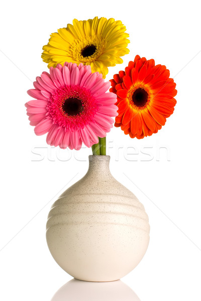 Vaso isolado branco flor flores primavera Foto stock © gitusik