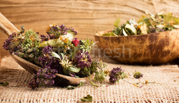 Herbata ziołowa wyschnięcia kwiat trawy zdrowia Zdjęcia stock © gitusik