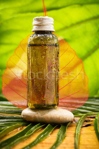 Aromatherapie Körper Öl Natur Blatt Gesundheit Stock foto © gitusik