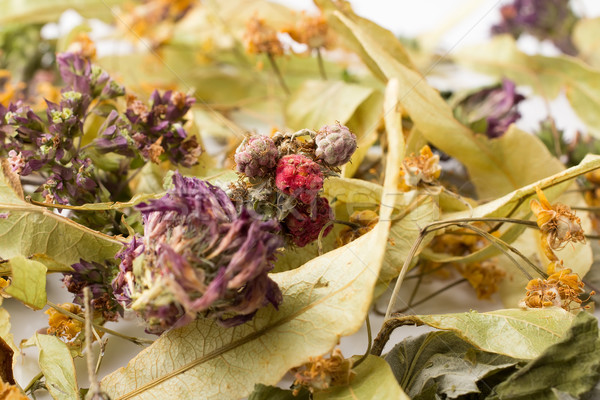 Herbal tea. Stock photo © gitusik