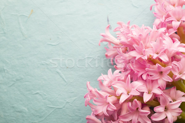 Foto stock: Jacinto · rosa · mesa · de · madeira · verde · cabeça · planta