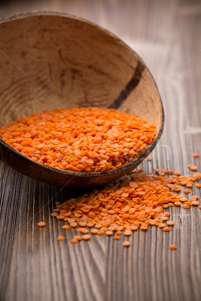 Lentil. Stock photo © gitusik