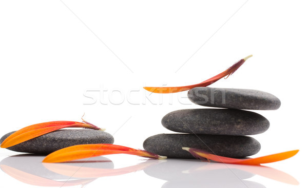Fürdő kövek narancs levél izolált fehér Stock fotó © gitusik