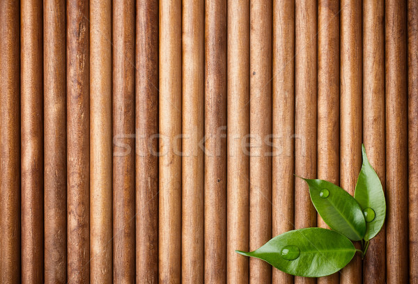 Legno foglia verde legno albero muro abstract Foto d'archivio © gitusik
