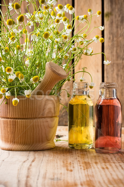 Chamomile. Stock photo © gitusik