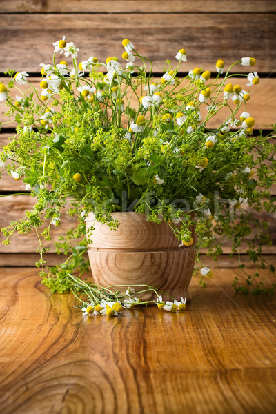 Rumianek kwiaty powierzchnia aromaterapia kwiat Zdjęcia stock © gitusik