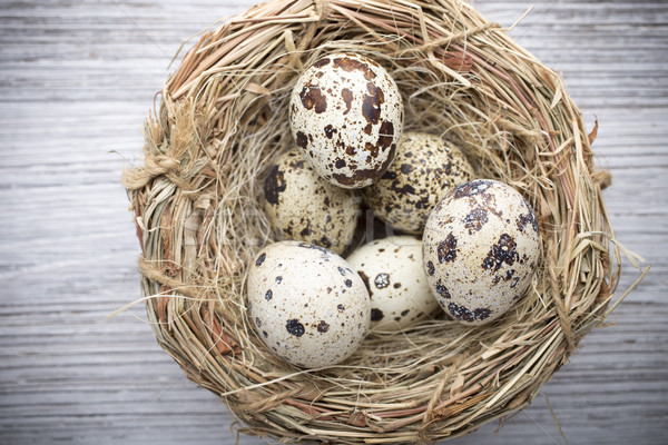 Quail eggs. Easter greeting card. Stock photo © gitusik