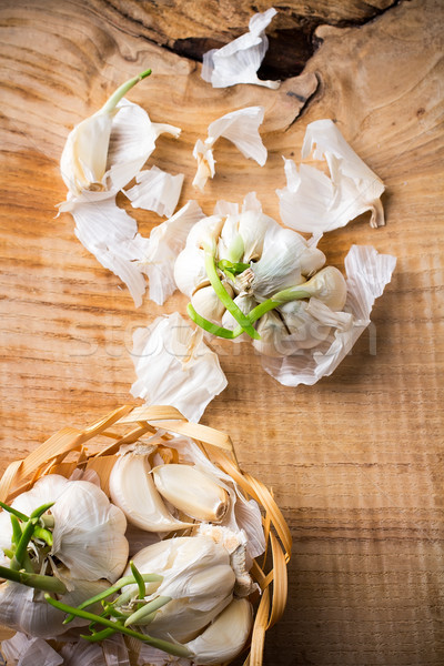 Knoblauch neue Sämlinge Natur Küche trinken Stock foto © gitusik