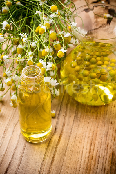 Chamomile. Stock photo © gitusik