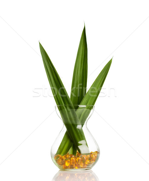 Halolaj üveg üveg organikus zöld levél hal Stock fotó © gitusik