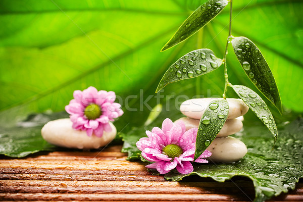 Spa-behandeling spa stenen groene bladeren bloem tropische Stockfoto © gitusik