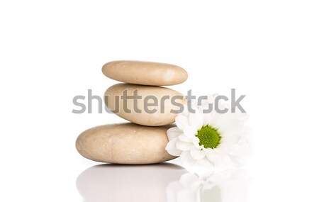 Spa Steine Blumen isoliert weiß abstrakten Stock foto © gitusik