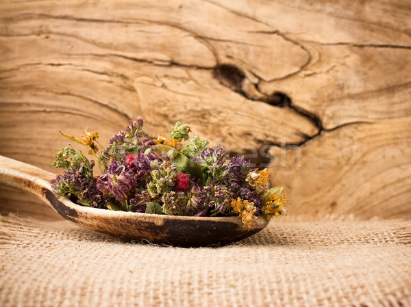 Stockfoto: Kruidenthee · drogen · bloem · gras · gezondheid