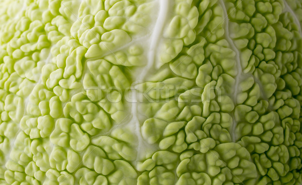 Сток-фото: капуста · текстуры · можете · используемый · зеленый · плодов