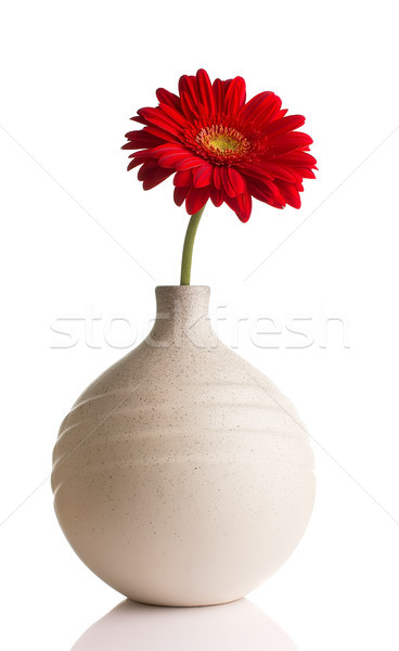 Vase isoliert Blumen Frühling Design Energie Stock foto © gitusik