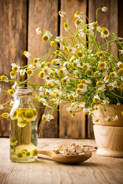 Kamille bloemen houten oppervlak aromatherapie olie Stockfoto © gitusik