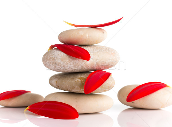 Stockfoto: Spa · stenen · Rood · bloemblaadjes · geïsoleerd · witte