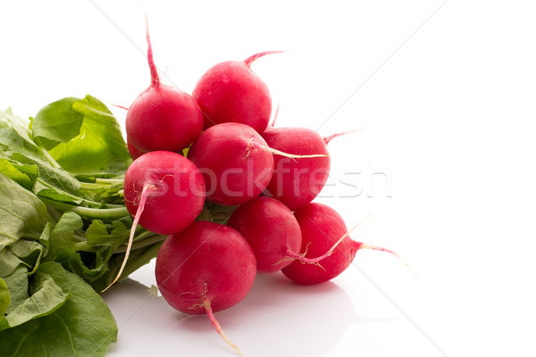 Stockfoto: Radijs · geïsoleerd · witte · blad · achtergrond · boerderij