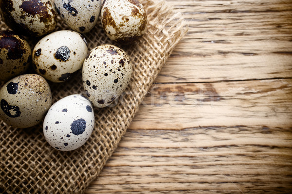 Quail eggs. Easter greeting card. Stock photo © gitusik