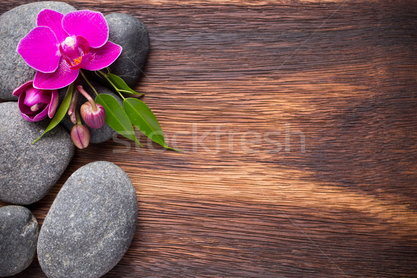 Orchidee Blume Holz spa Steine abstrakten Stock foto © gitusik