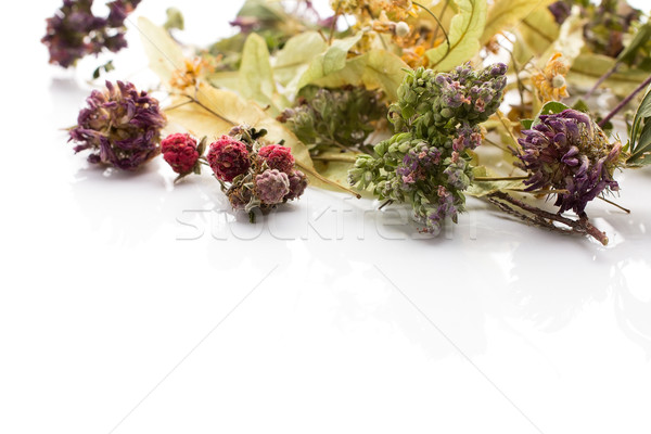 Herbal tea. Stock photo © gitusik