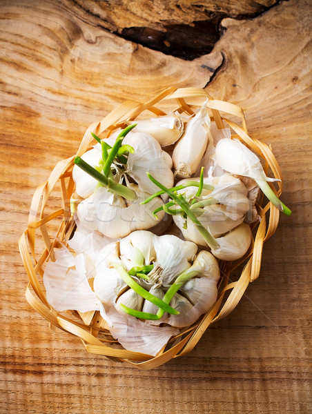 Stock photo: Garlic.