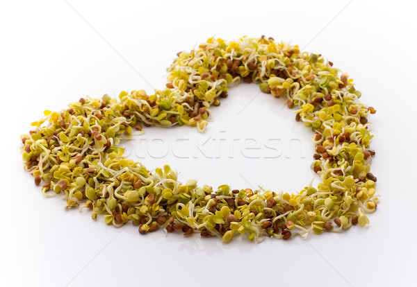 Frischen Luzerne Rettich weiß Herzform Essen Stock foto © gitusik