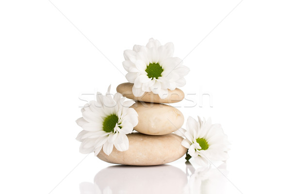 Foto stock: Estância · termal · pedras · flores · isolado · branco · abstrato