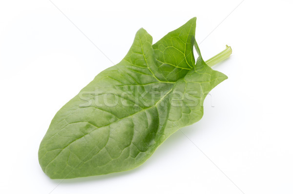 Fresche foglie spinaci bianco foglie verdi isolato Foto d'archivio © gitusik