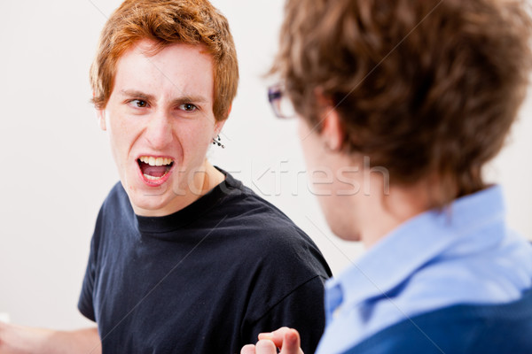 Stock photo: misunderstanding arguing and harassing each other
