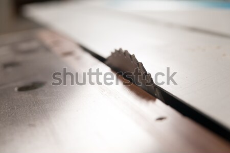 circular saw in a carpenter workshop Stock photo © Giulio_Fornasar