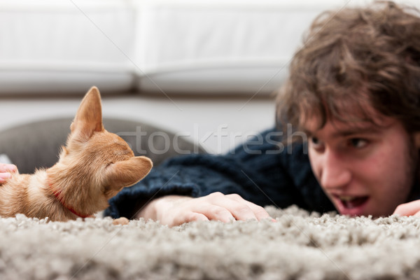 Foto stock: Moço · jogar · piso · estômago · tapete · cão