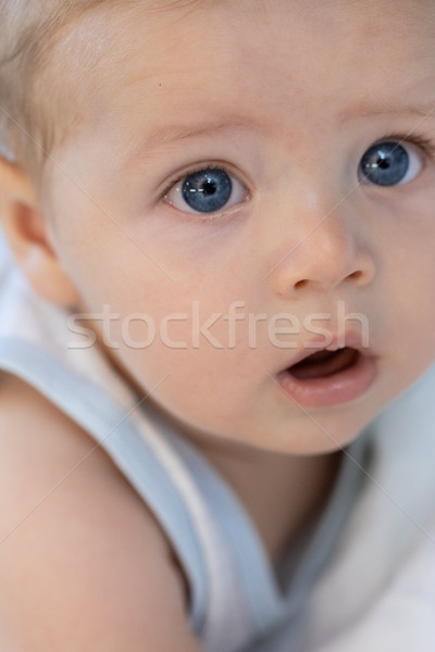 Kicsi baba nagy kék szemek közelkép portré Stock fotó © Giulio_Fornasar