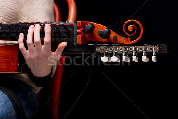 nyckelharpa's scroll, headstock and pegbox details Stock photo © Giulio_Fornasar