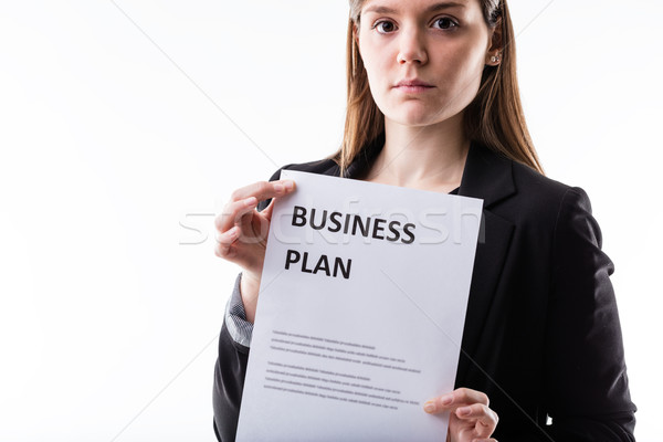 you should carefully plan your business Stock photo © Giulio_Fornasar