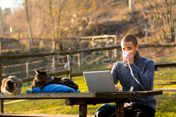 Foto stock: Negocios · gatos · de · trabajo · portátil · hombre · independiente