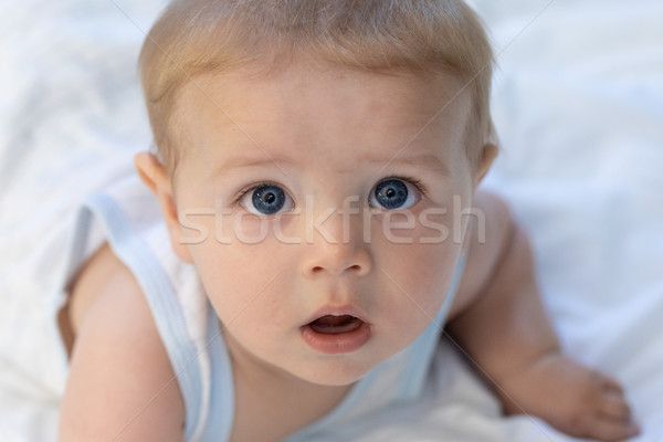 可愛 好奇 年輕 嬰兒 相機 商業照片 © Giulio_Fornasar