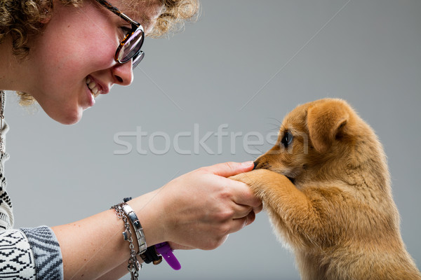 woman looking her dog into his eyes Stock photo © Giulio_Fornasar
