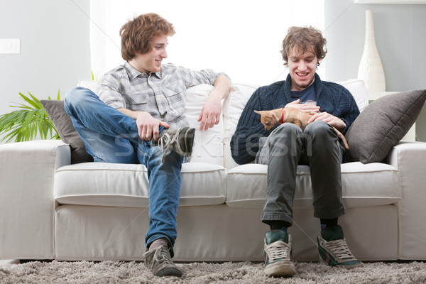 Two brothers playing with their small pet dog Stock photo © Giulio_Fornasar