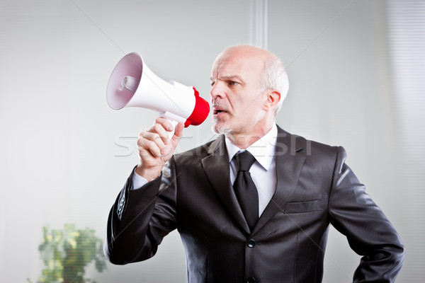 boss giving orders to his employees Stock photo © Giulio_Fornasar