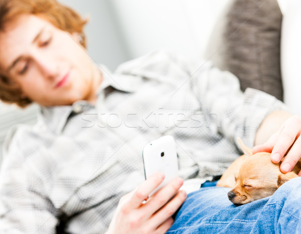 Young man caressing his pet chihuahua dog Stock photo © Giulio_Fornasar