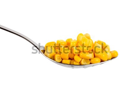Canned corn Stock photo © Givaga