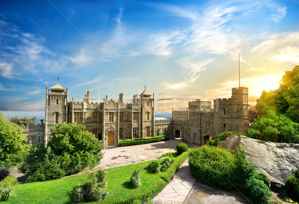 Vorontsov Palace Stock photo © Givaga