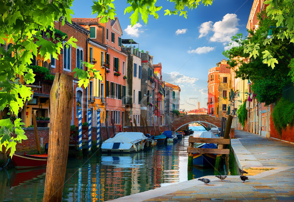 Morning in Venice Stock photo © Givaga