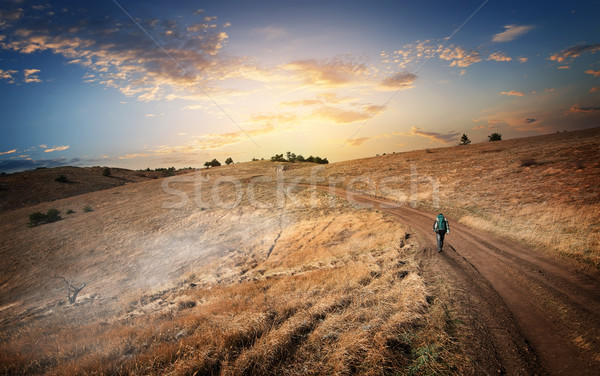 Hiking to the mountains Stock photo © Givaga