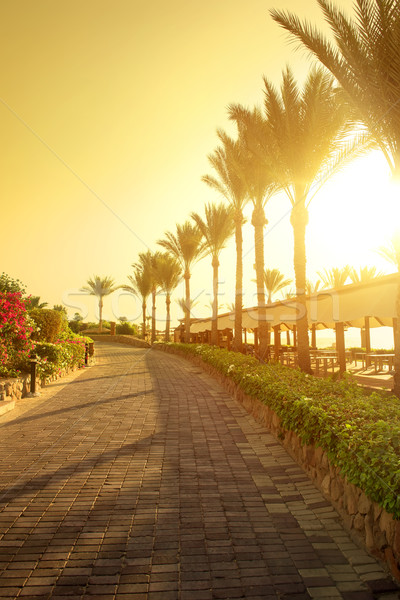 Seafront in Egypt Stock photo © Givaga