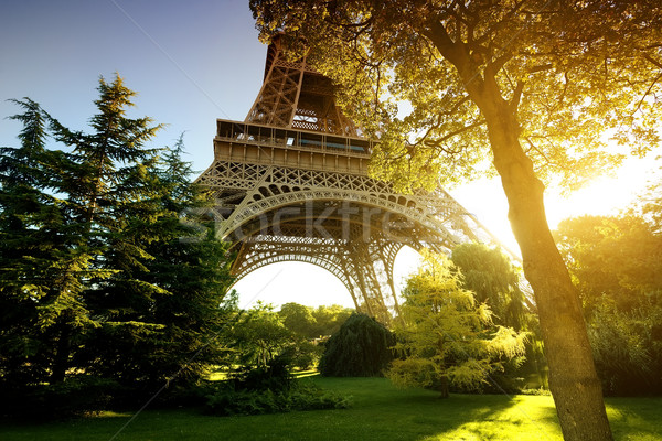 Park Eiffel torony égbolt város naplemente Stock fotó © Givaga